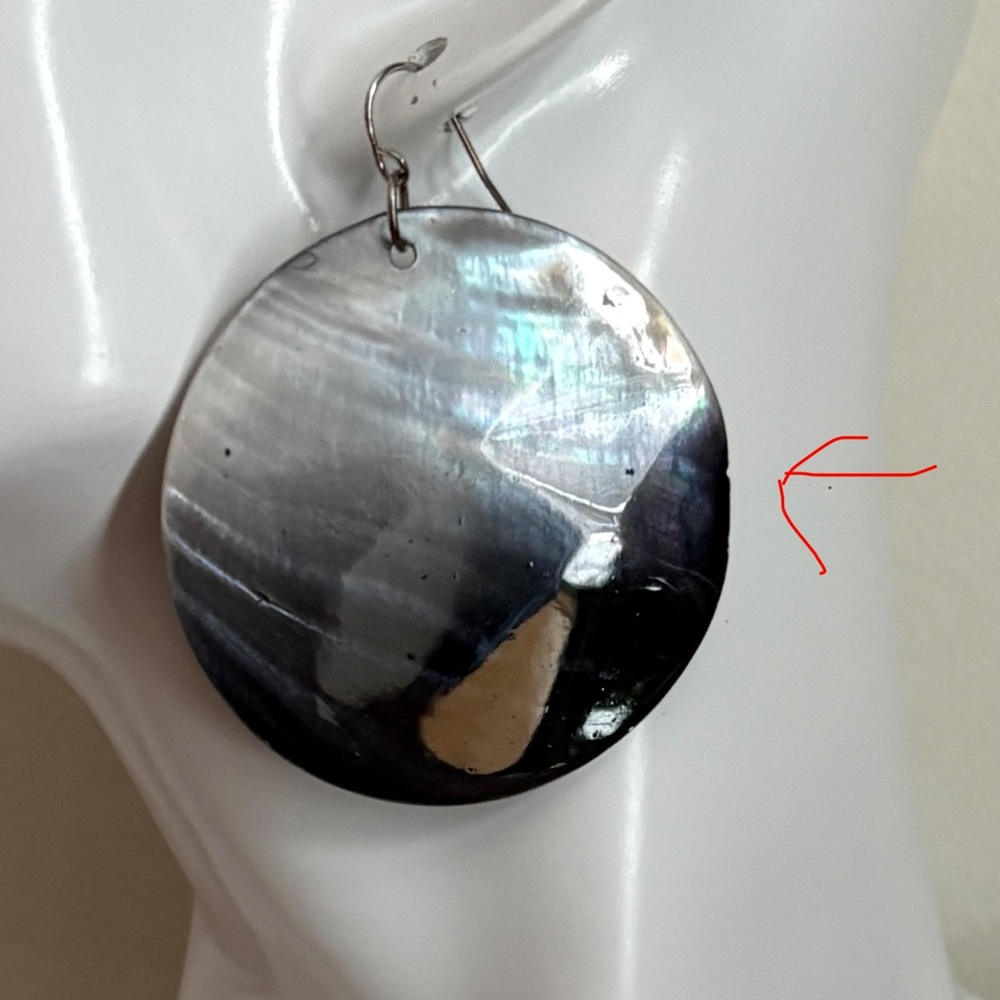 Abalone Shell Round Earrings - image 6